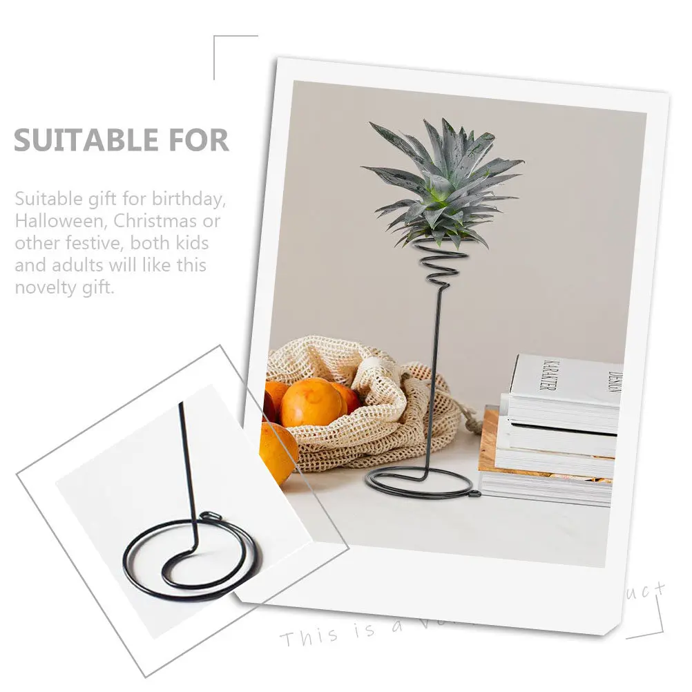 2Pcs Air Plant Stand Holder Iron Display Rack for Tillandsia Modern Tabletop Decor Living Wall Art Craft Gift Air Plant Shelves