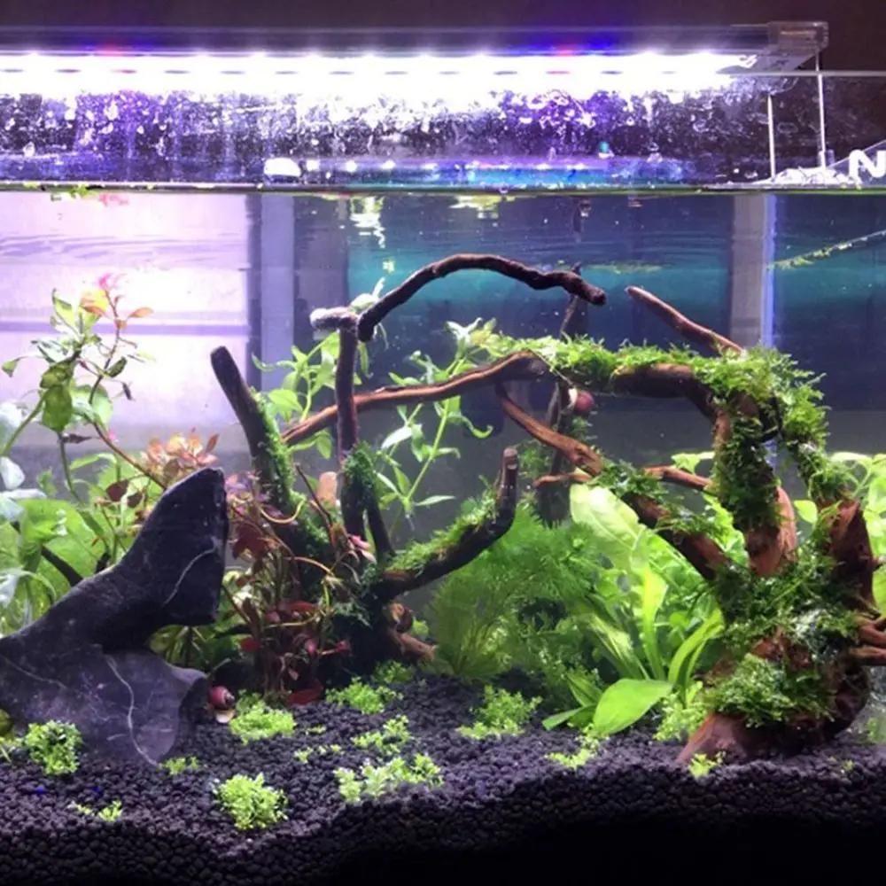 Wood 1 Pcs Reptile Aquarium Decoration Landscaping Tank Background Natural Trunk Driftwood Plant Stump Cuckoo Root