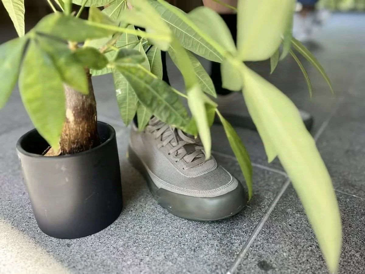 

Mara Men's Sports Running Shoes Pine Carbon Plate Air Cushion Breathable Lightweight Women's Comfortable Non-slip Sneakers