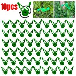 10 pz rami di piante Bender Training Clips Garden Trainer Clips supporto regolabile a 360 ° per strumenti di allenamento antistress