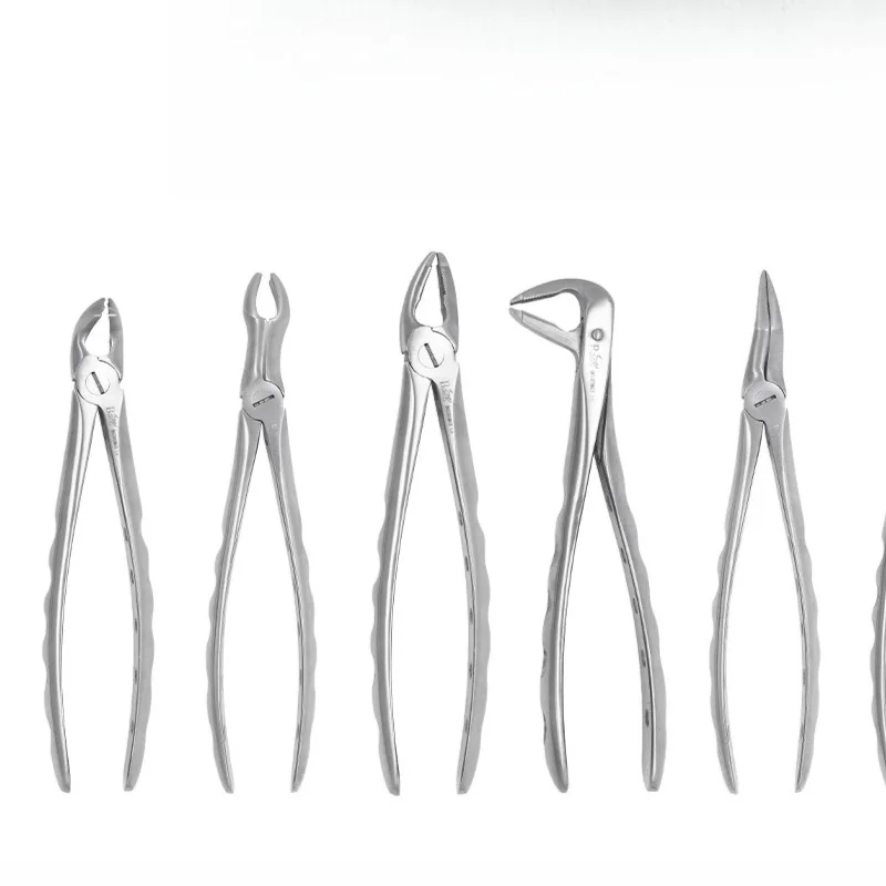 1PC Adult Tooth Extraction Forceps Stainless Steel Dental Tools for Professional Use High Precision & Durable