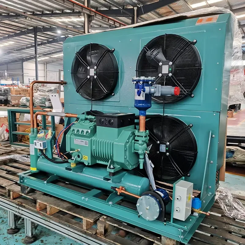Farm Postharvest Cold Storage Unit Air Cooled Refrigeration Unit for Cold Storage