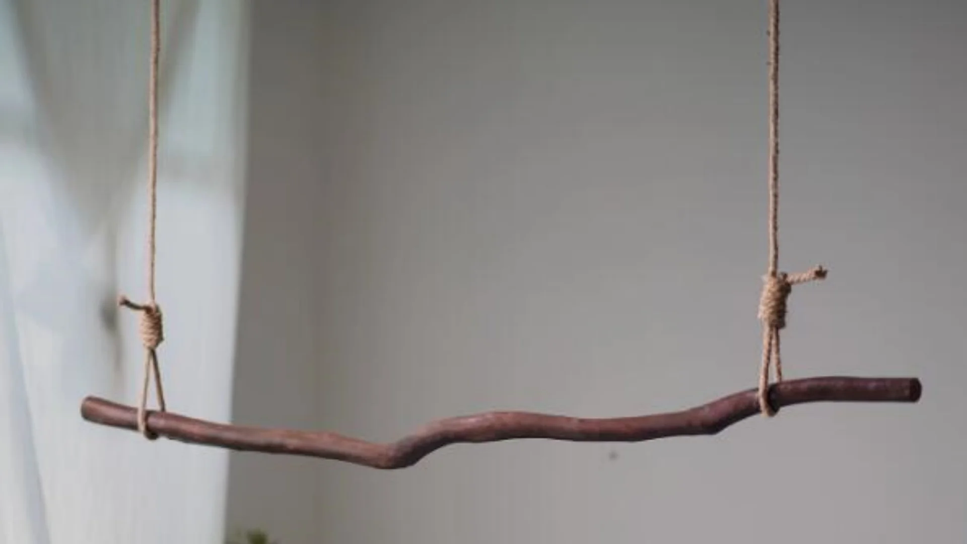 

Wall Coat Rack Tree Branch Clothes Hanger Vintage Style,Suitable For B&B,Clothing Store Decoration,Creative Window Display AT331