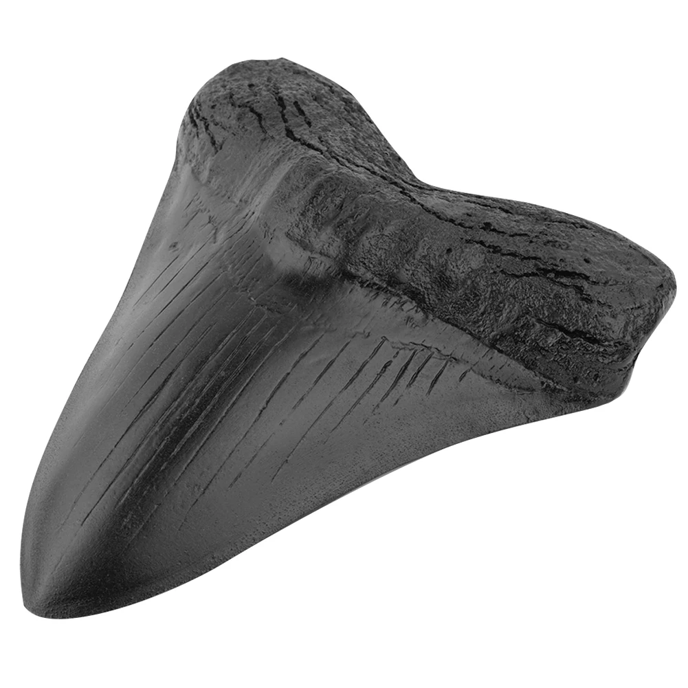 Shark Teeth Model 5inch Home Decoration Giant Megalodon Tooth Marine Bology Teaching Props Black Shark Teeth Fossil Best Gifts