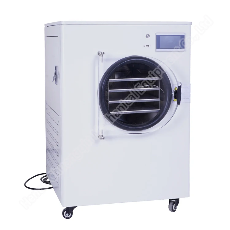 Lab Mini Household / Home 1kg 2kg 6kg Vacuum Freeze Dryer for Sale