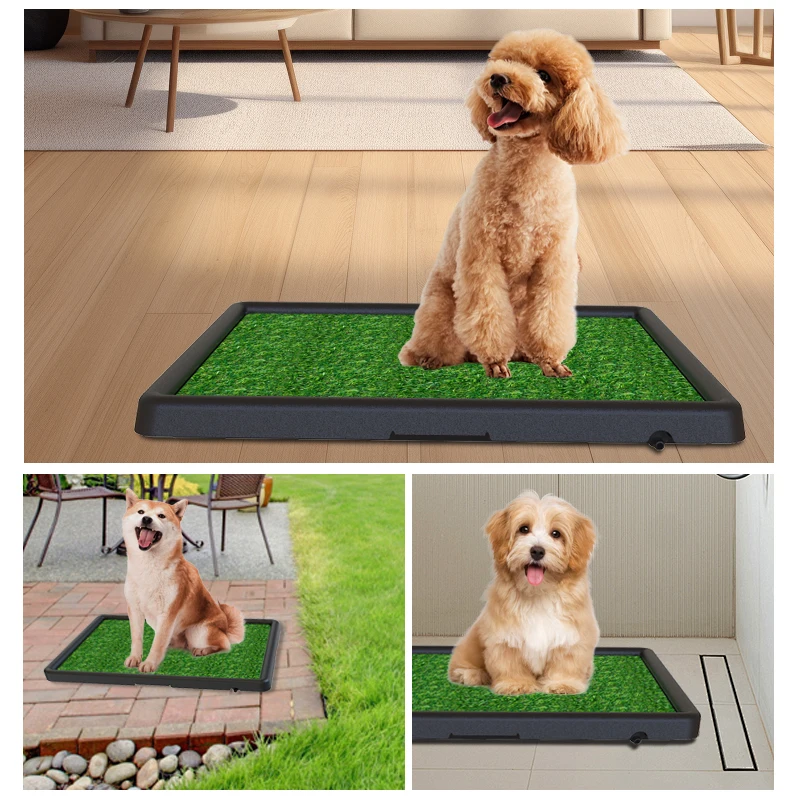 

Dog toilet automatic straight sewer urine training artifact for small and medium-sized dogs