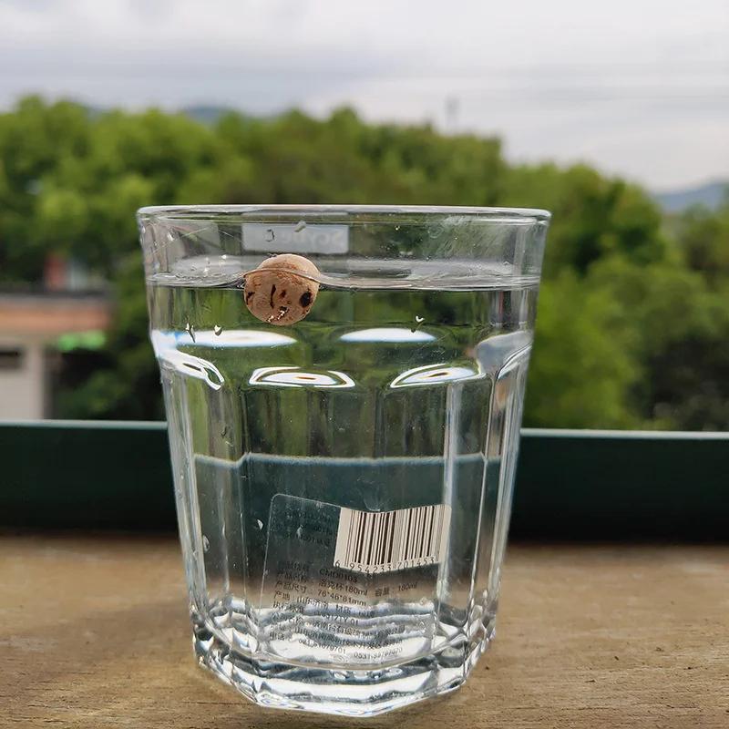 20 قطعة العائمة حبة الطعم الكارب الصيد المغلي الطعم الفلين الكرة كبيرة الطفو الفلين الكرة النمط الأوروبي 8 مللي متر/10 مللي متر كرة طافية الطعم