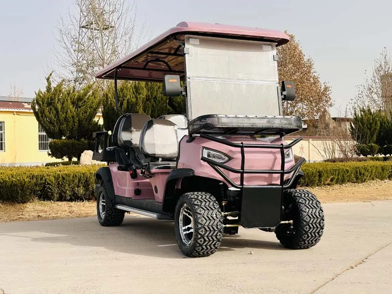 مصنع توريد 72 فولت 2 4 6 8 الركاب عالية السرعة مخصصة عربة جولف كهربائية للبيع #3