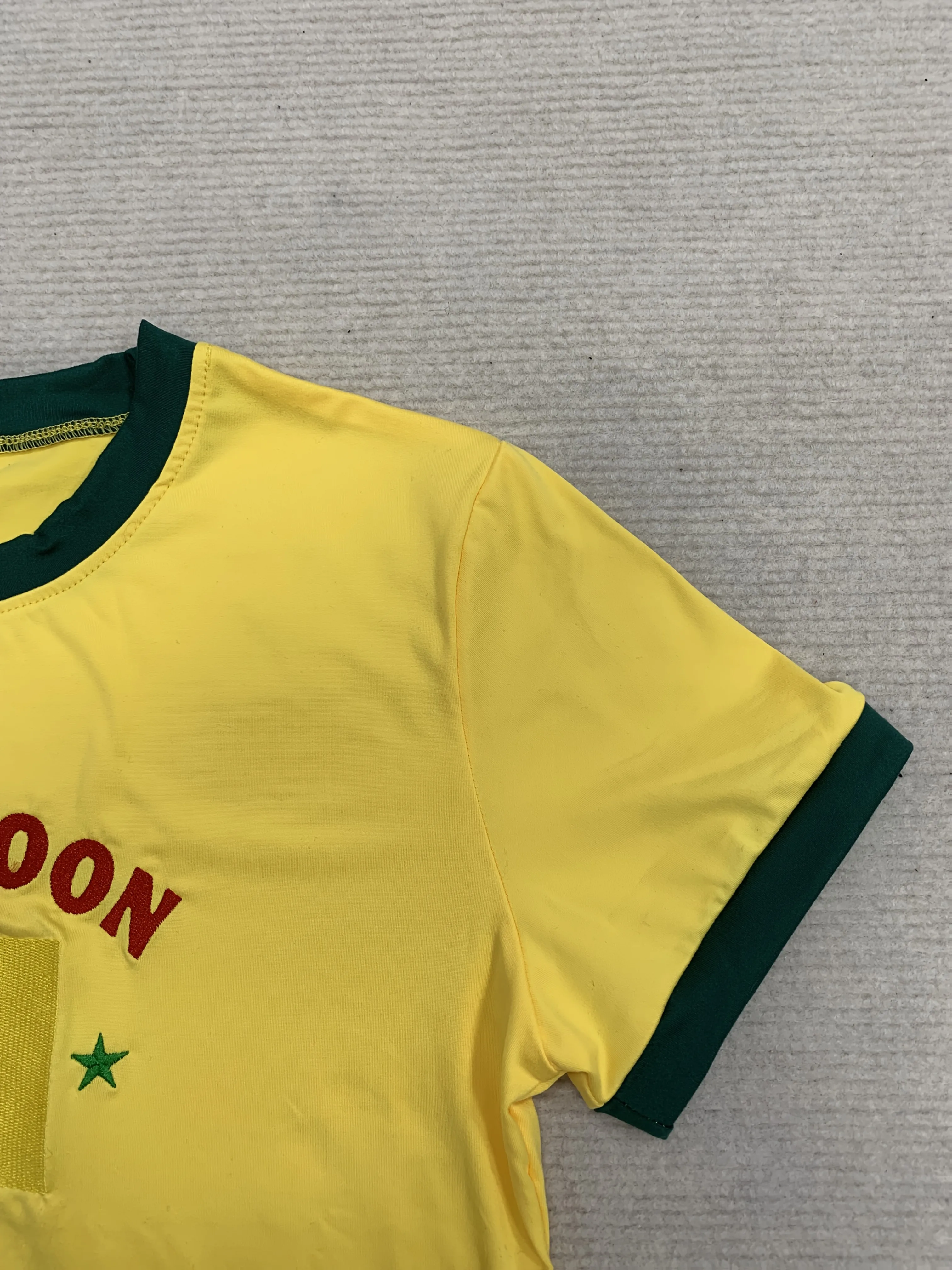 Cameroon Flag Embroidered Crop Top Women Y2K Color Block Short Sleeve T Shirt view 6