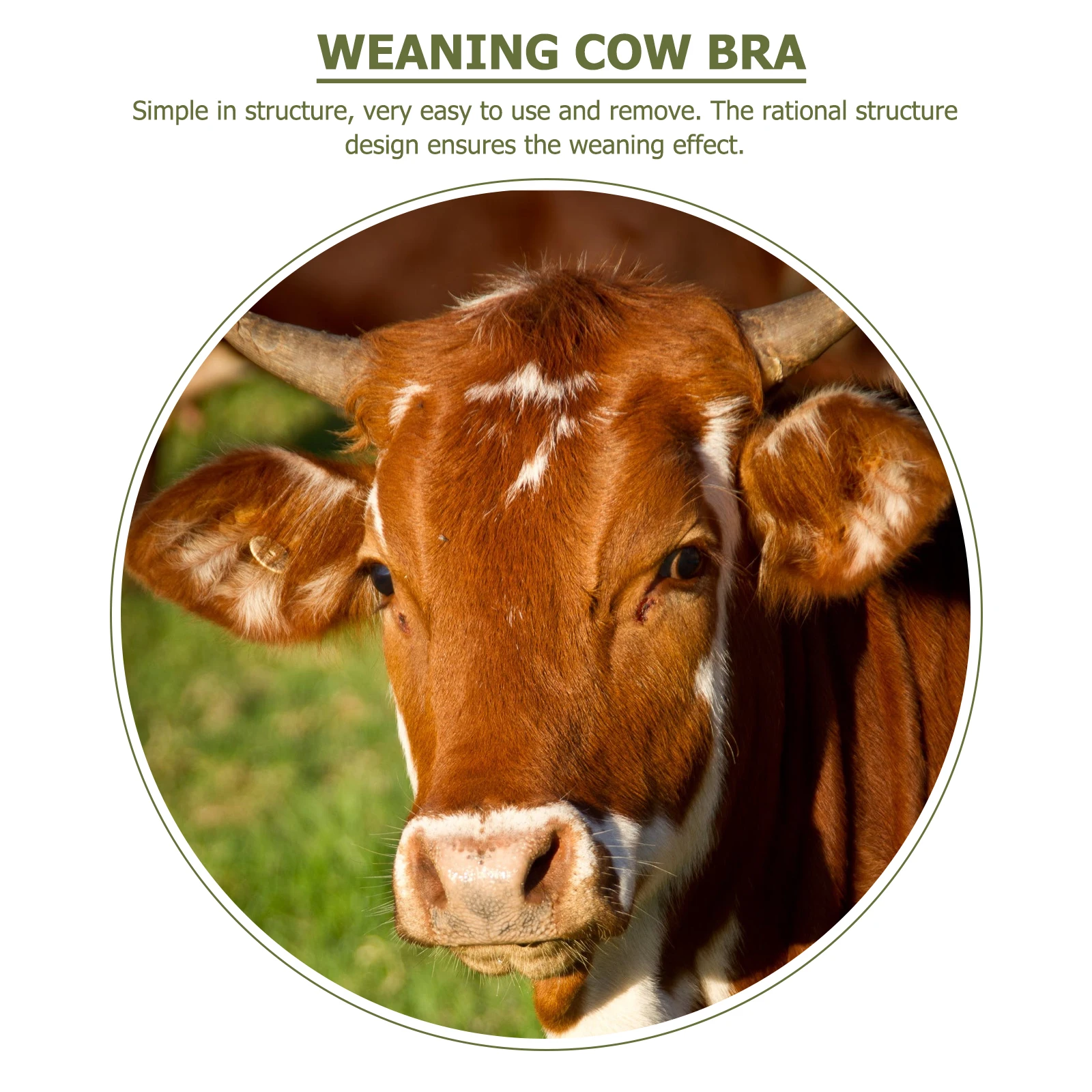 

Premium Cow Breast Cover Durable Abs Material Ergonomic Design Lightweight Farm Accessory Cattle Weaner Tool For Calves Nipple
