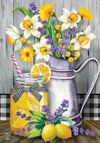 BRIARWOOD LEMONADE FLOWER DAISY MASON JAR PITCHER MINI WINDOW GARDEN YARD FLAG N