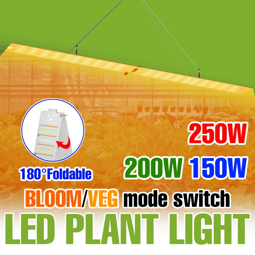 250W Led Quantum Bo…