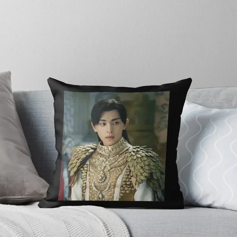 

Ashes of Love Deng Lun 1 Throw Pillow luxury covers Cusions Cover Christmas Covers Cushion Covers For Living Room pillow