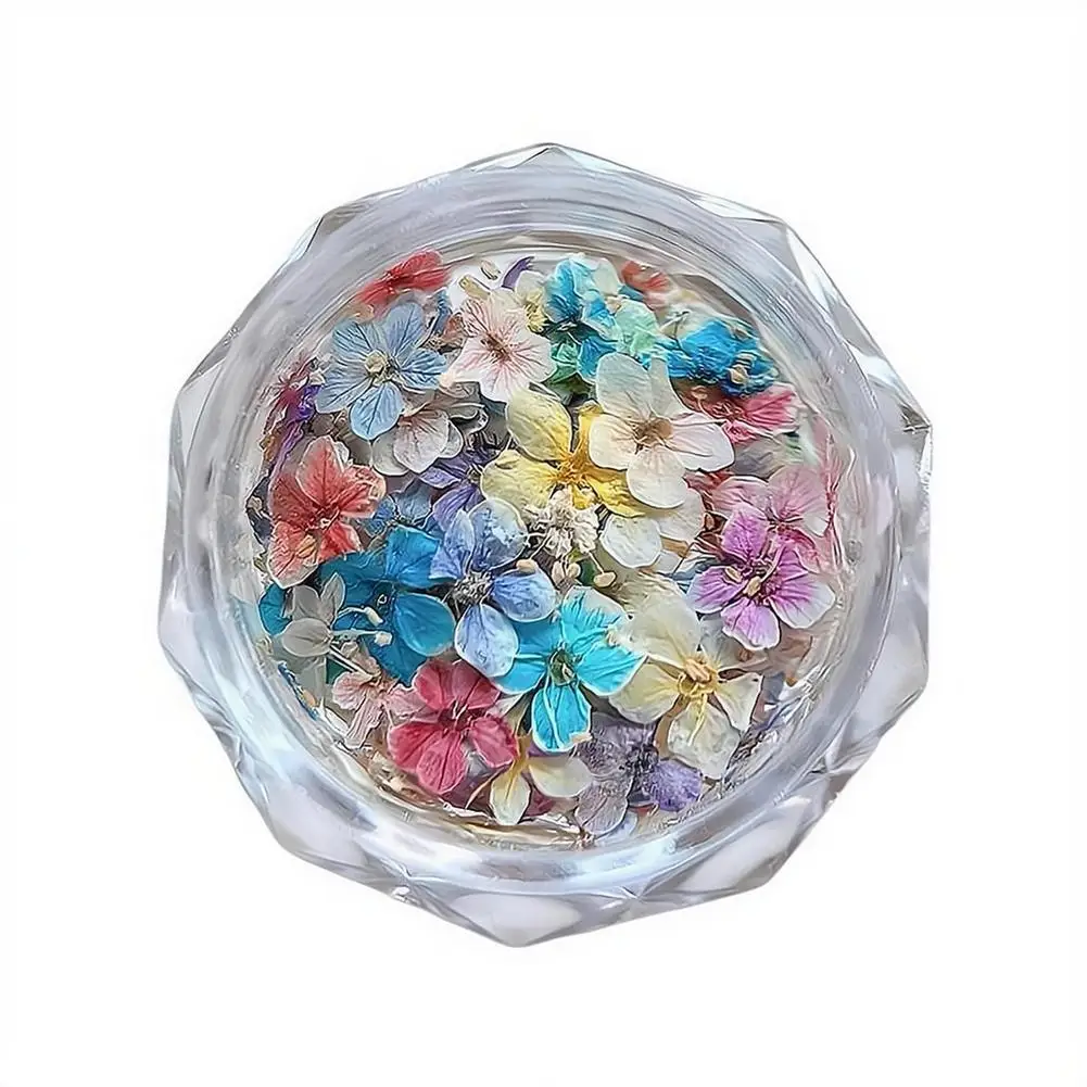Getrocknete Blumenmaterialien für Nägel, romantische Monet-Garten-Farbpalette, lebendige Accessoires, Wildblumen-Nagelkunst-Dekorationen, Werkzeuge – Detail 5