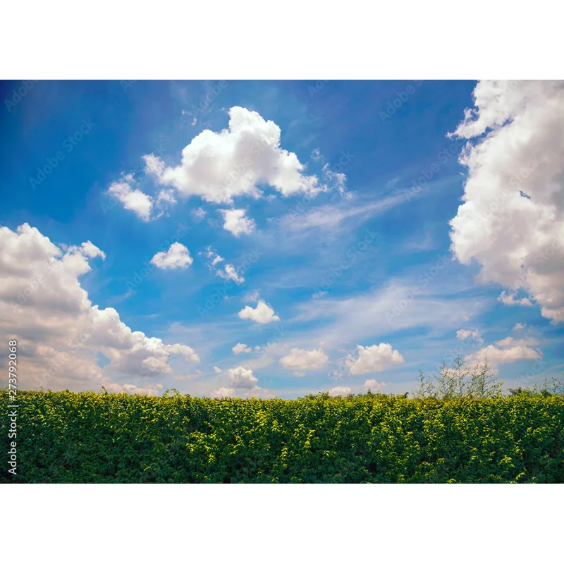 مستلزمات تصوير المناظر الطبيعية ، العشب الأخضر والسماء الزرقاء ، السحب البيضاء ، خلفية الصور ، مستلزمات الاستوديو ،