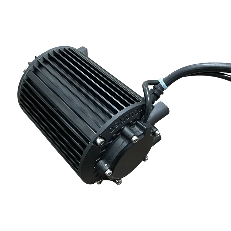 Qs 1000W Electric B…