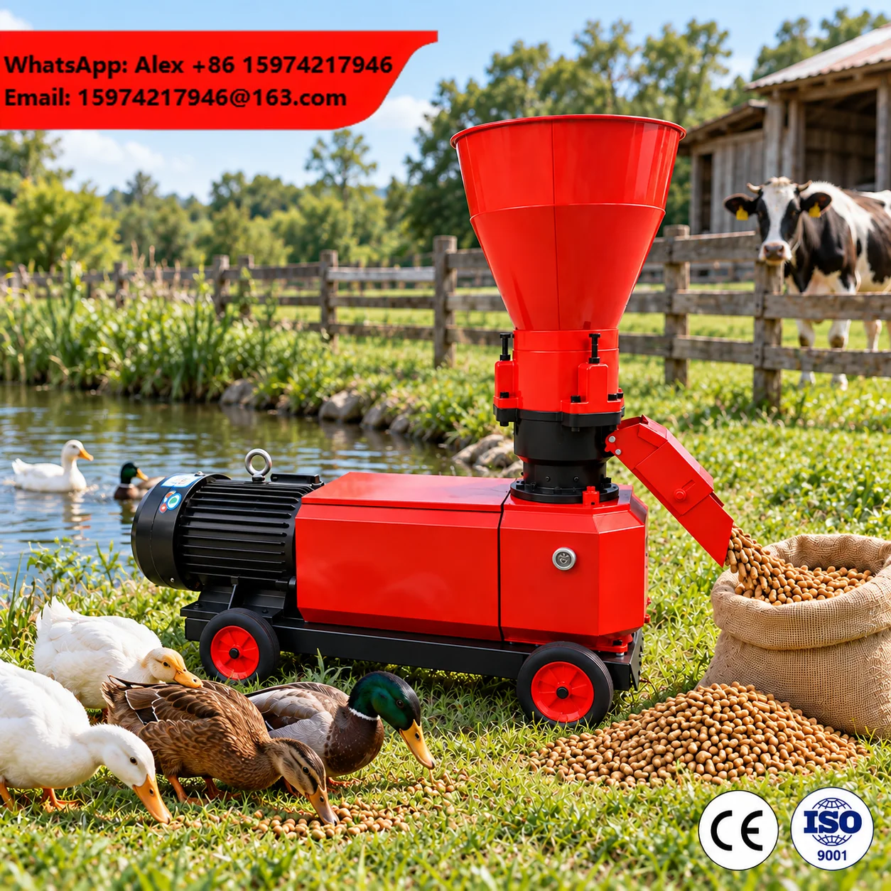 Small Farm Animal Feed Pellet Machine 200KG/H Electric Pellet Maker For Chicken Pig Cattle Sheep