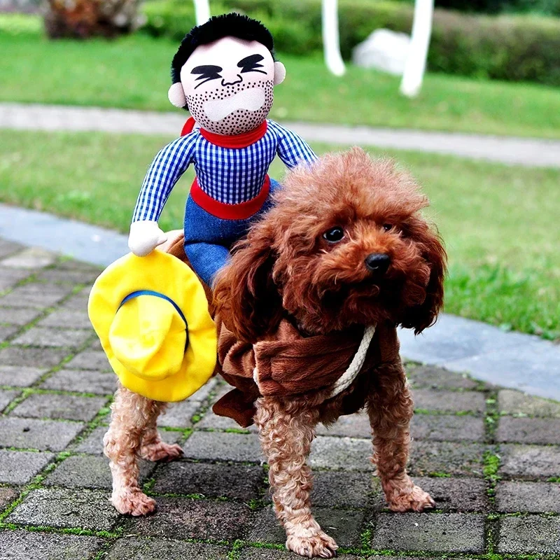 Costume de cavalier de cow-boy pour animaux de compagnie, vêtements de fête d'Halloween, tenue de nouvel an, vêtements pour chiens et chats, Chihuahua, nouveauté