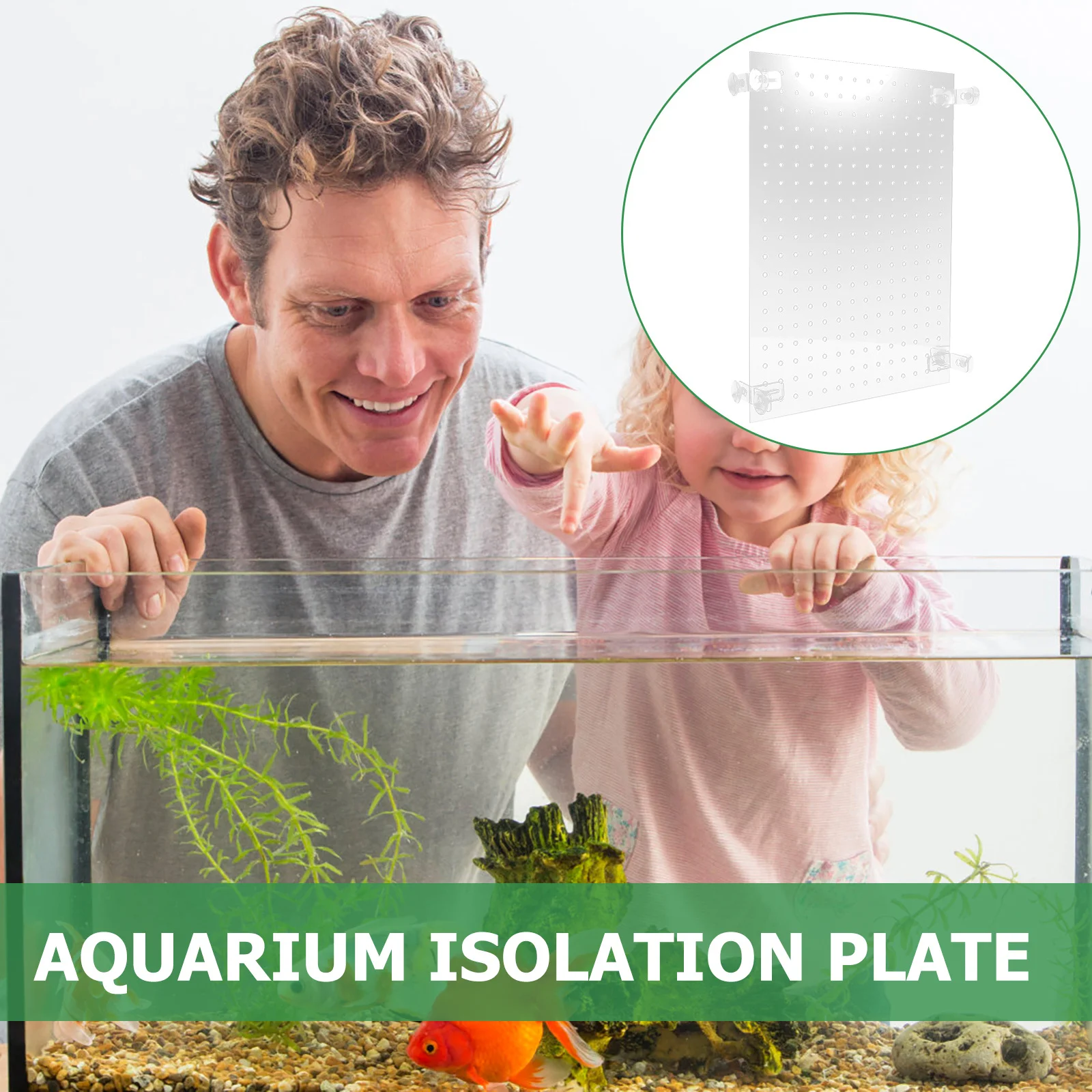 

1Set Acrylic Isolation Board for Fish Tank Divider with Suction Cups Transparent Aquarium Isolation Plate for Breeding and