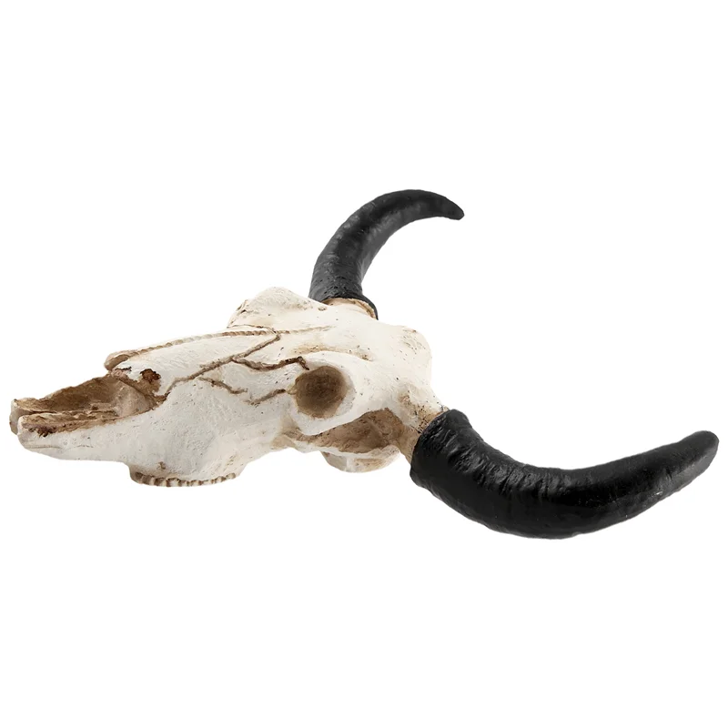 

Resin Longhorn Cow Skull Head Wall Hanging Decor 3D Animal Wildlife Sculpture Figurines Crafts Horns For Home Halloween Decor CN