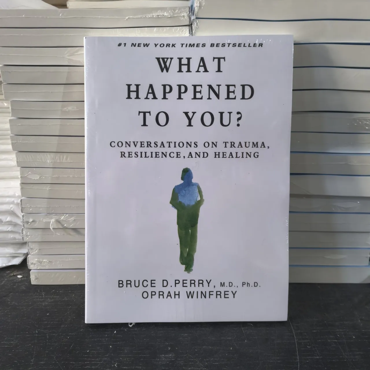 

What Happened to You English Version Libros Livros English Books