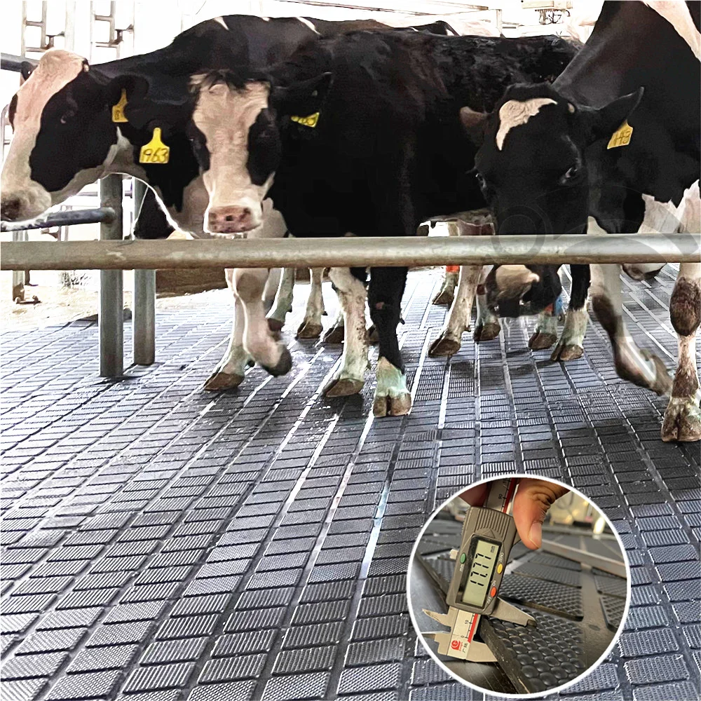 

Comfortable And Wear-Resistant Non-Slip Cow Mats Insulated Rubber For Dairy Cattle Barns New Condition