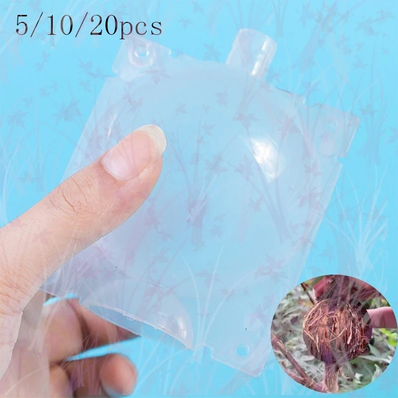 

8/12cm wholesale Garden Plant Root Growing Case Box Flower Grafting Rooter Ball Rooting Breeding High-pressure Fruit Transparent