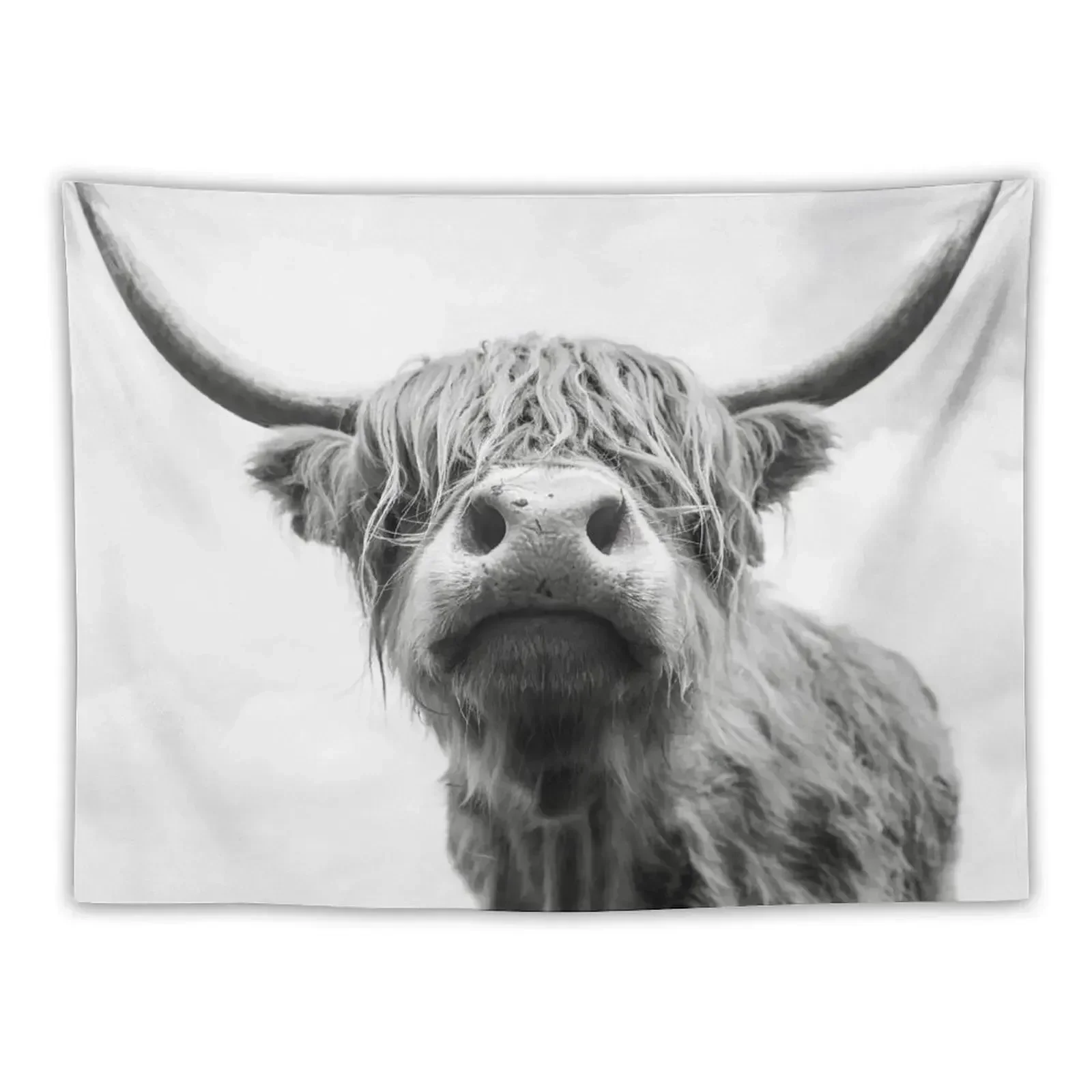 

Highland Cow in Black and white Tapestry House Decorations Room Decoration Aesthetic Home Decorations Outdoor Decor Tapestry