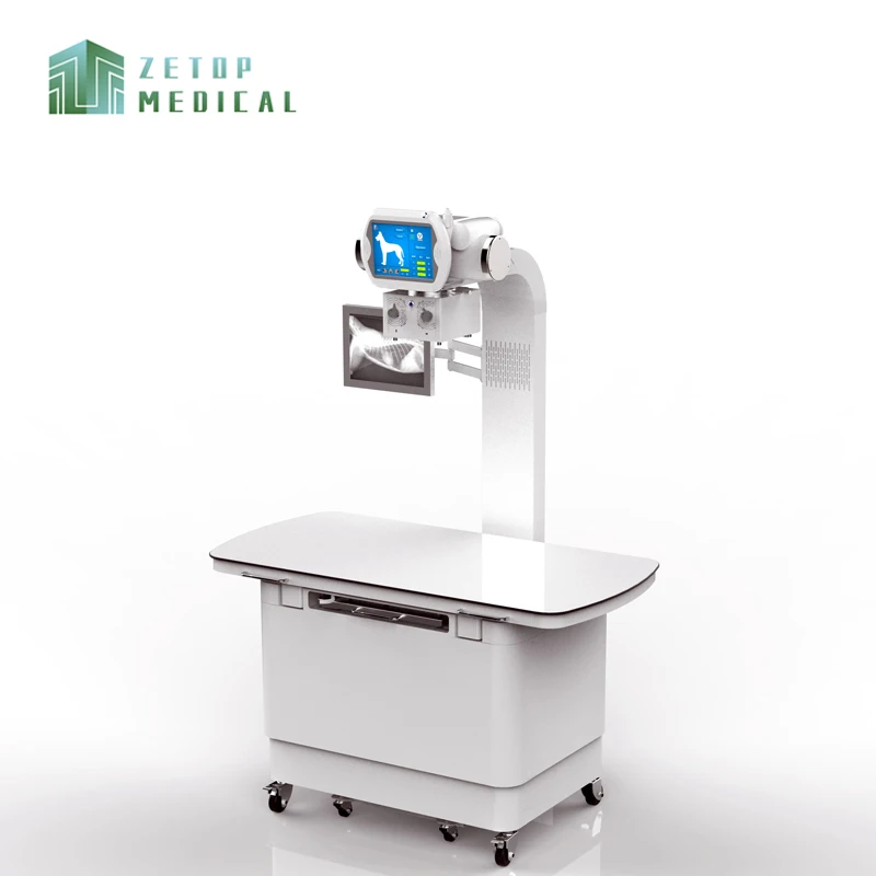 Vet Analog X-ray Machine 20kw Floor-mounted X-ray Machine for Veterinary