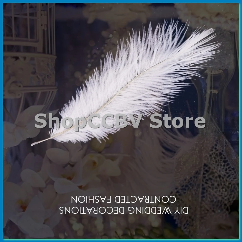 10 Pieces White Natural Ostrich 20-25cm Wedding DIY-A25R