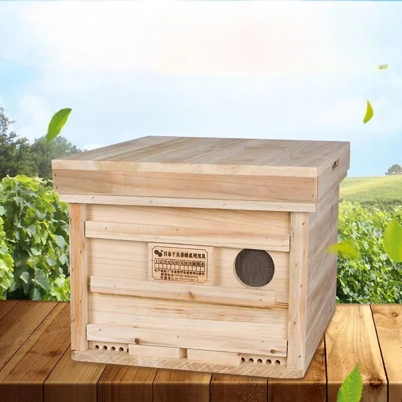 Automatic Api Wedding Harness Beekeeping Tools Bee Accessories Apidea Apicultura Beecolves Bees Equipment Beehives Box Set Glue