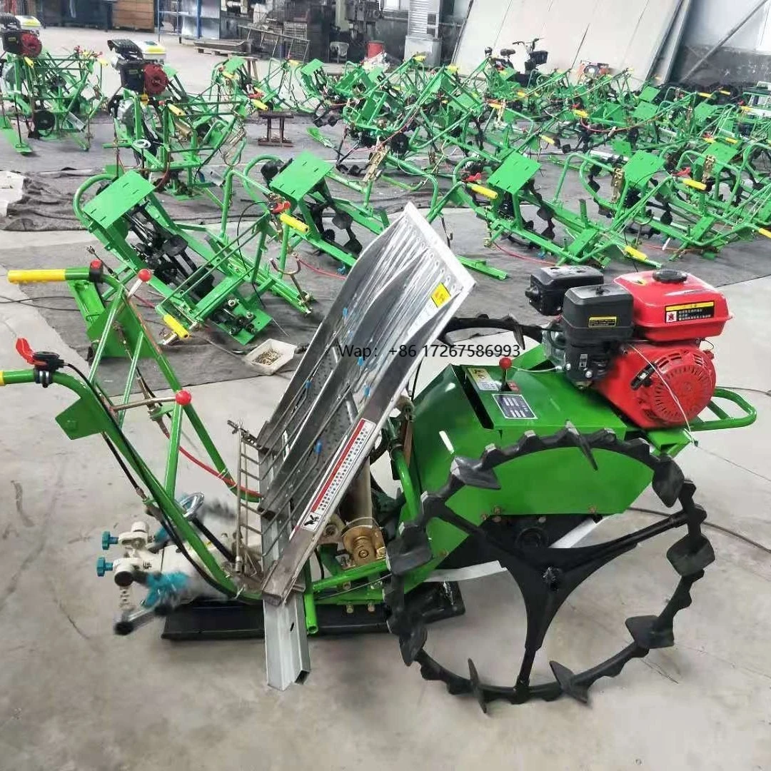 Manual Planting Machine High-quality Rice Seeder Paddy Transplanter for Sale