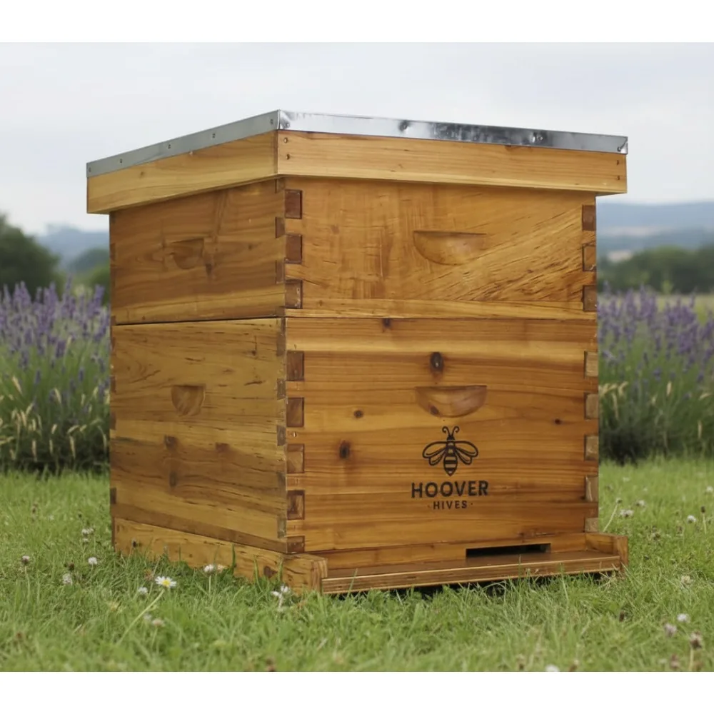 مجموعة خلية نحل مكونة من 10 إطارات مع صناديق عميقة ومتوسطة لسهولة إدارة المستعمرة