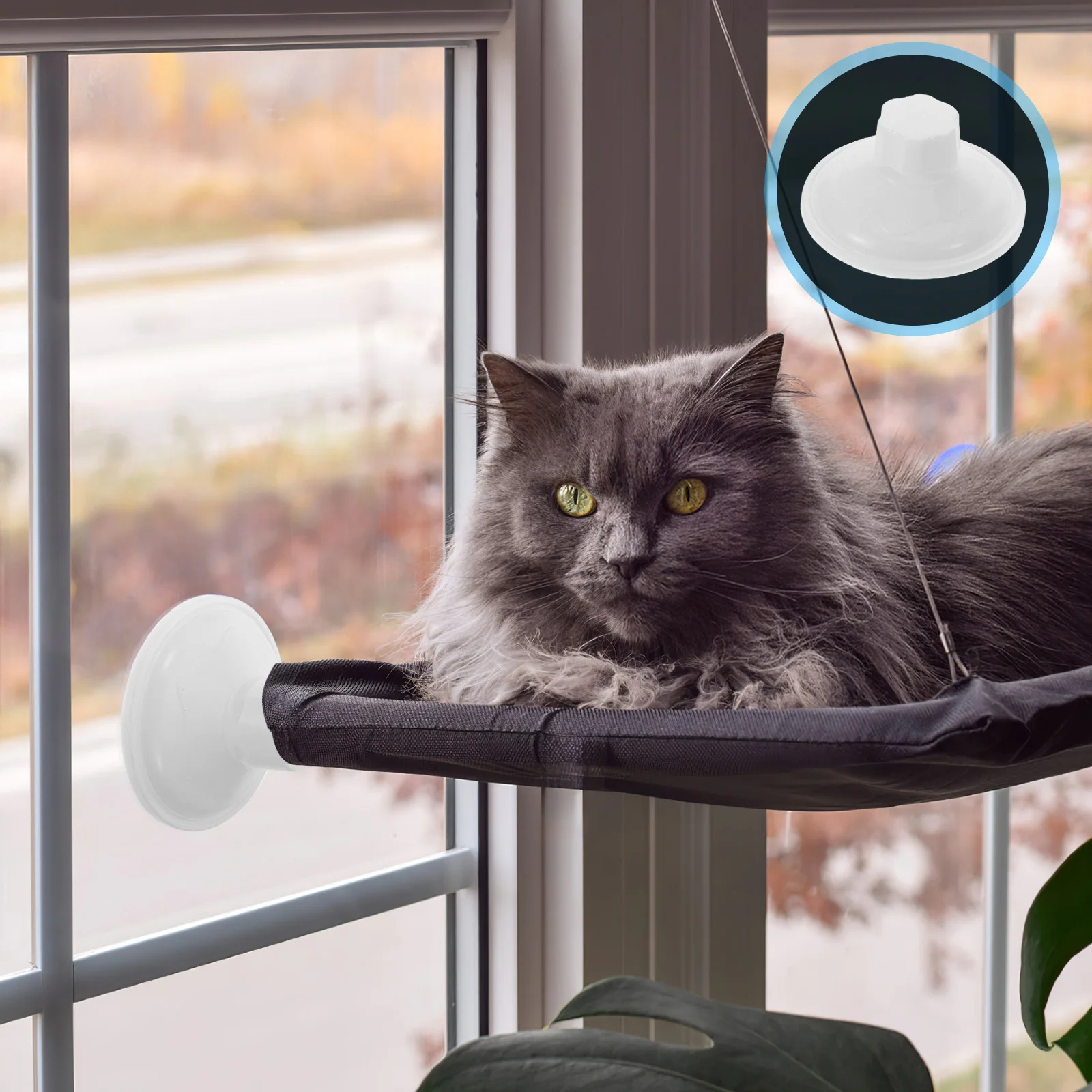 

4Pcs Cat Window Perch Suction Cups Strong 85mm Large Diameter Threaded Screws Hammock Replacement Heavy Duty Pet Rest