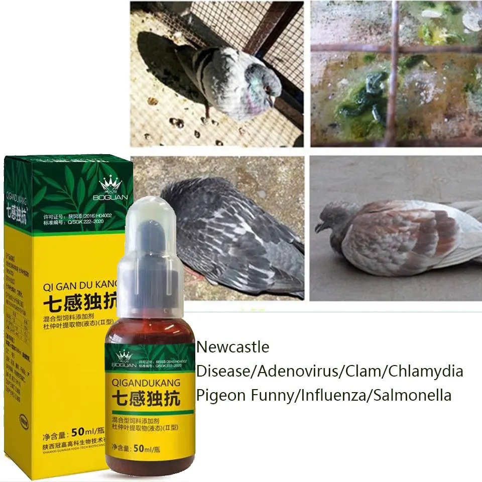 

Pigeon nutritional Supplement 50ml daily health water Green stool racing pigeon homing pigeon Chlamydia pigeon pox