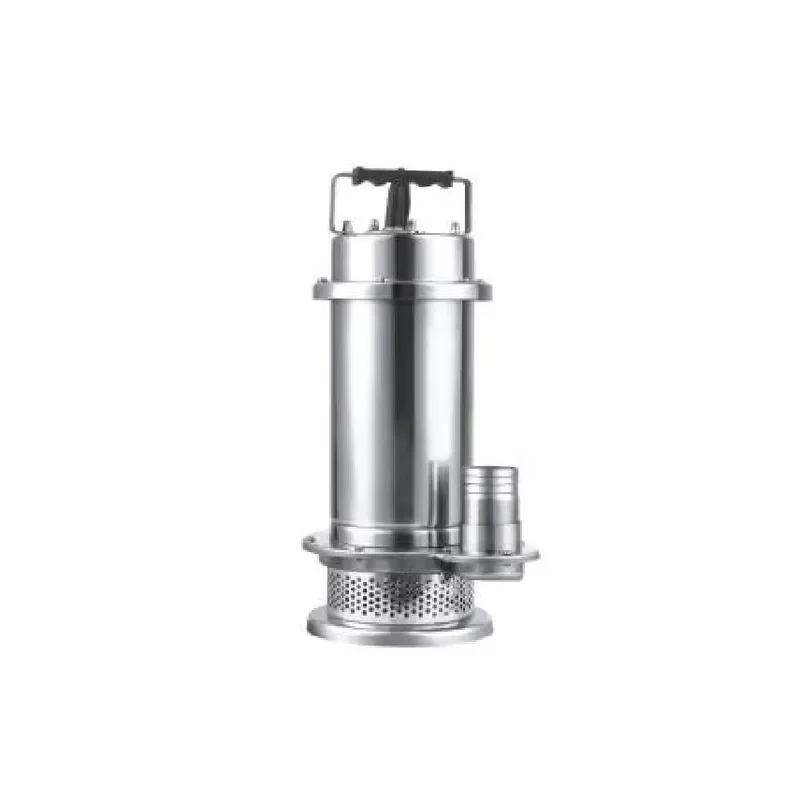 custom 750W 60V Industrial Solar DC Brushless Stainless Steel Submersible Pump for Water Irrigation and Garden Use High