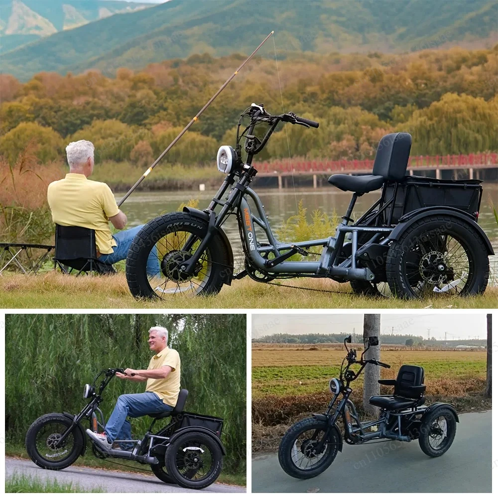 

Adult 3 Wheel Fat Tire Electric Cargo Trike Aluminum Alloy Frame Ebike