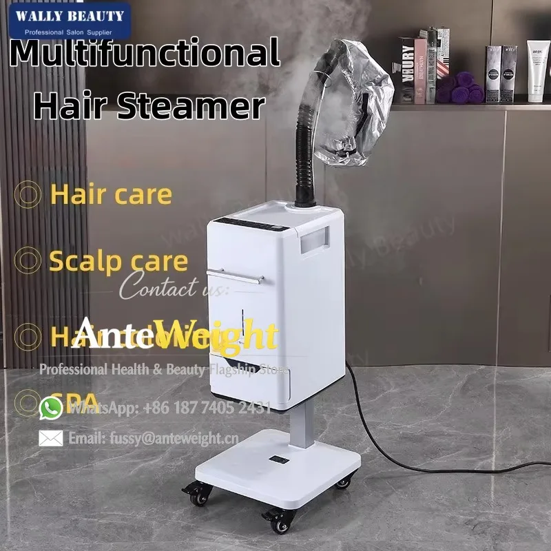 Professional Hair Steamer Nano Mist Machine New Design Hair Scalp Care Treatment Machine for Beauty Salon Use Hair & Face Spa