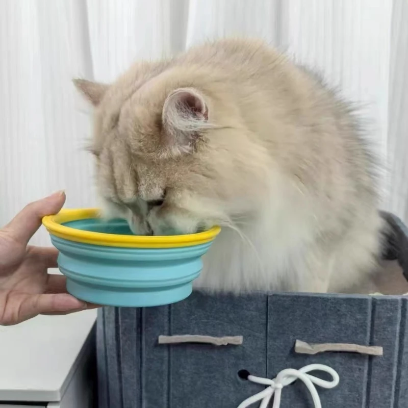 Thumbnail 2 - #4 Latest Collapsible Dog Bowls Offers