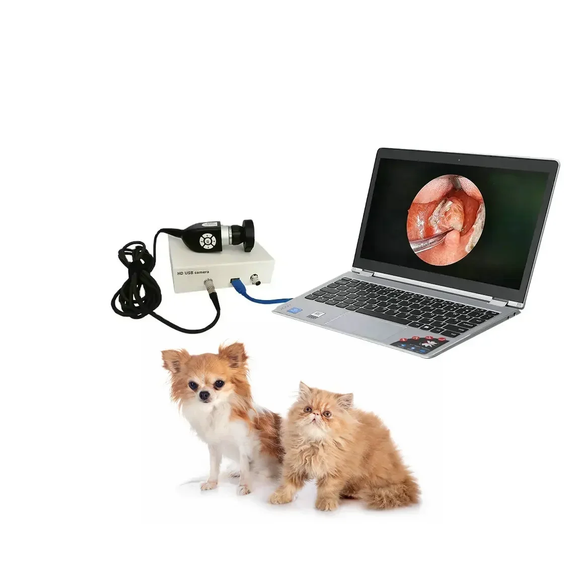 Veterinary Waterproof CMOS Sensor FULL HD Medical Endoscopy camer