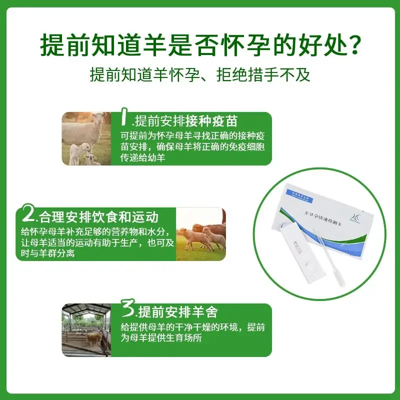 Professional Sheep Pregnancy Test Kit for Livestock Breeders