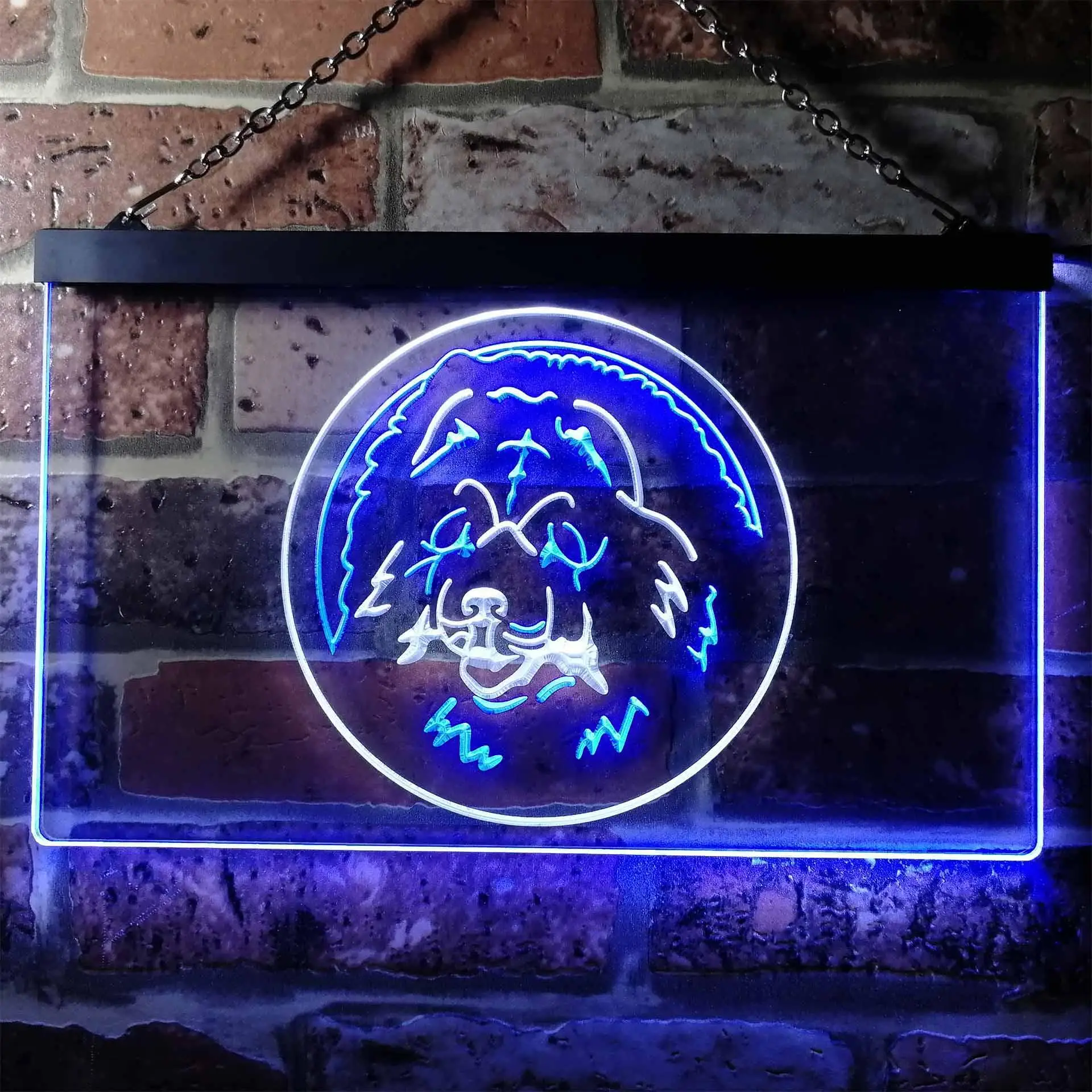 Chow Chow Dog Pet Dual Color Led Neon Sign st6-i0662