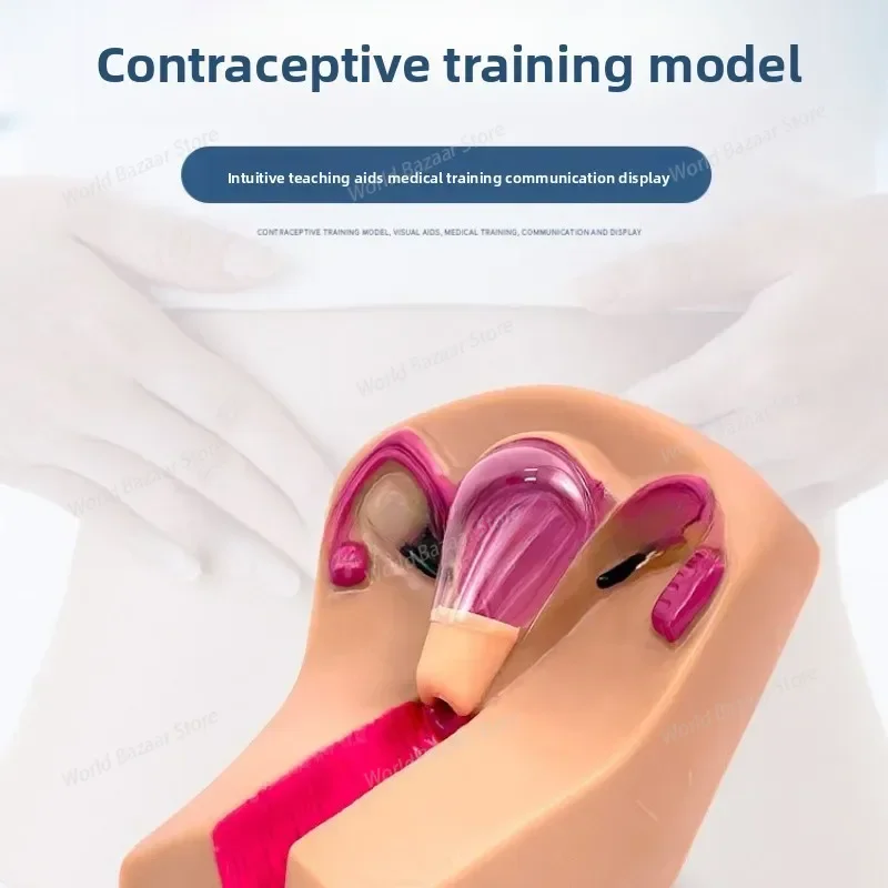 

IUD Training Simulator Female Intrauterine Contraceptive Device Model