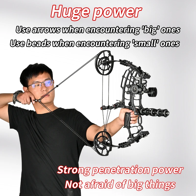 Archery Compound Bow and Arrow Set Steel Ball Arrow Dual Purpose Composite Pulley Bow Outdoor Hunting Fishing Shooting Equipment view 4