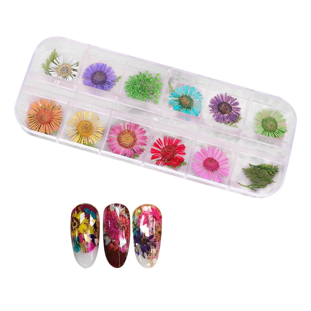 

Dried Chrysanthemum Flowers Nail Art Decoration Colorful Real Pressed Leaves for Manicure Nail Polish Uv Gel Acrylic Nails