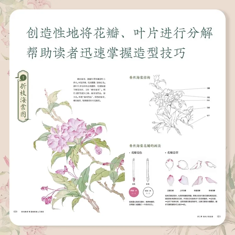 제로 파운데이션 드로잉 아트북을 사용한 중국 회화 소개