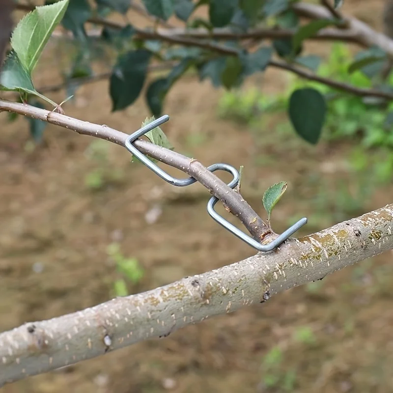 [50pcs Metal Branch Puller]50pcs Durable Metal Garden Branch Puller Tool-Reusable Tree Branch Bender for Shaping&Training Trees