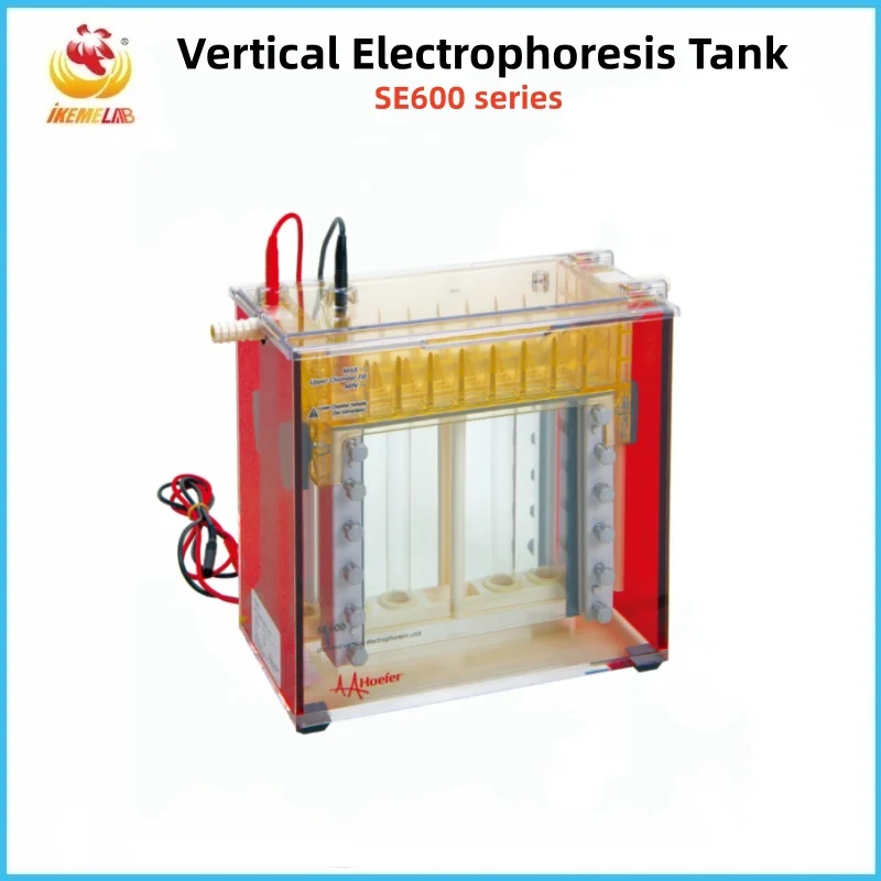 Hoefer Vertical Electrophoresis Tank Protein Gel Electrophoresis Temperature Controlled Vertical Gel Electrophoresis Apparatus