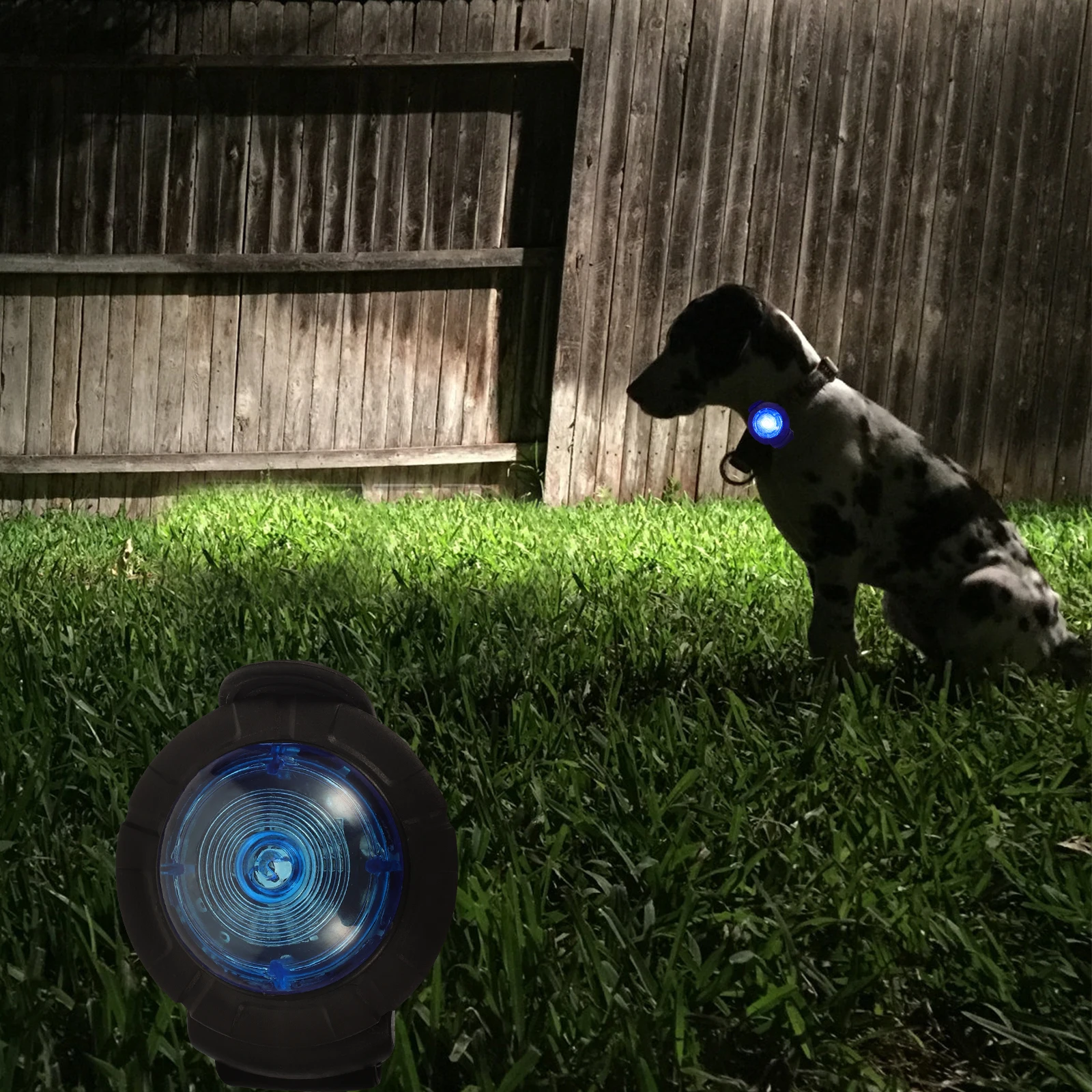 

Night Light Dog Walking Collar Lights for Flashlight Led Rechargeable at Pet Mini Safety Pendant Lamp Portable