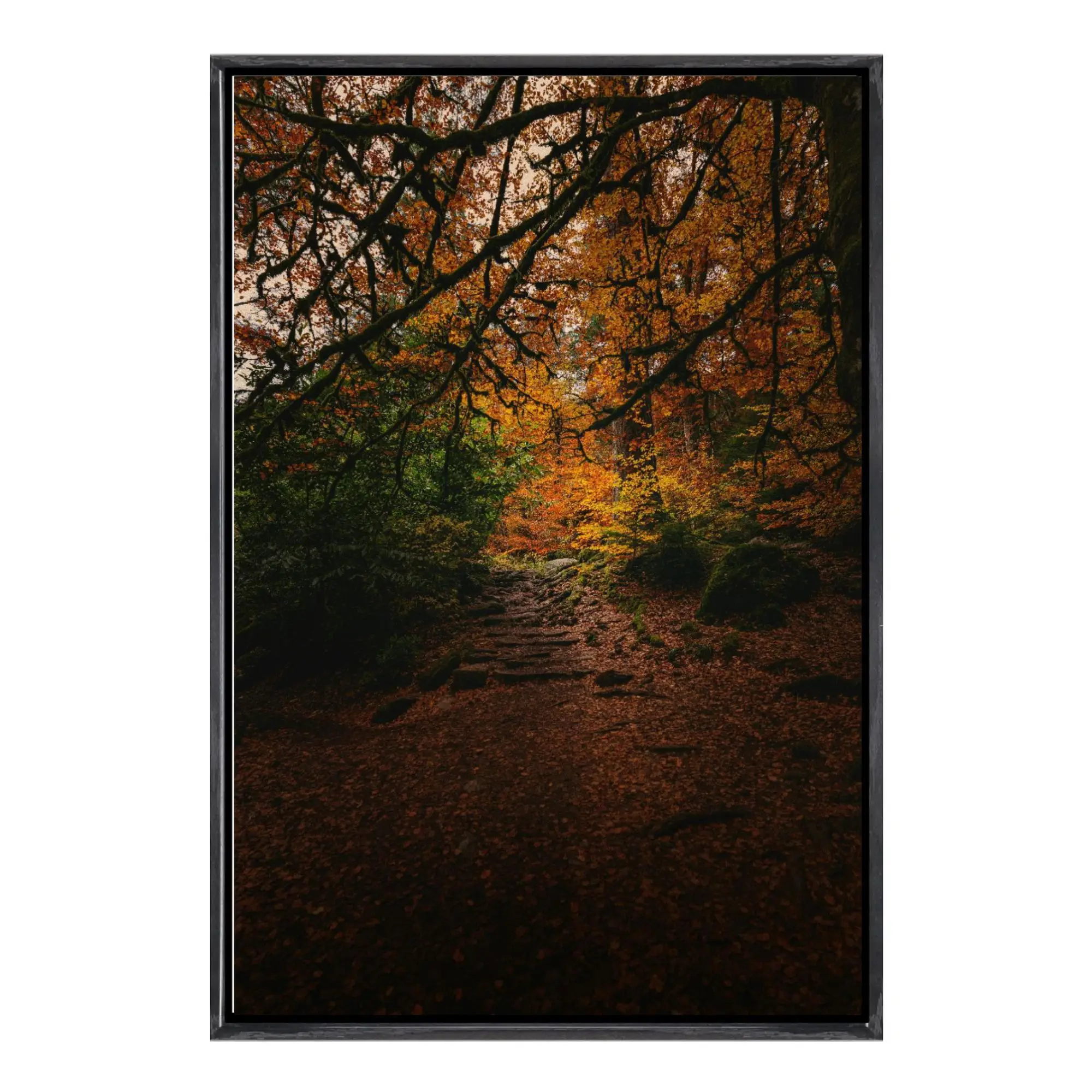 

Japanese Autumn Tree-Lined Path Canvas Framed Wall Art, Stunning Fall Foliage Scenic Print, Forest Pathway Nature Poster